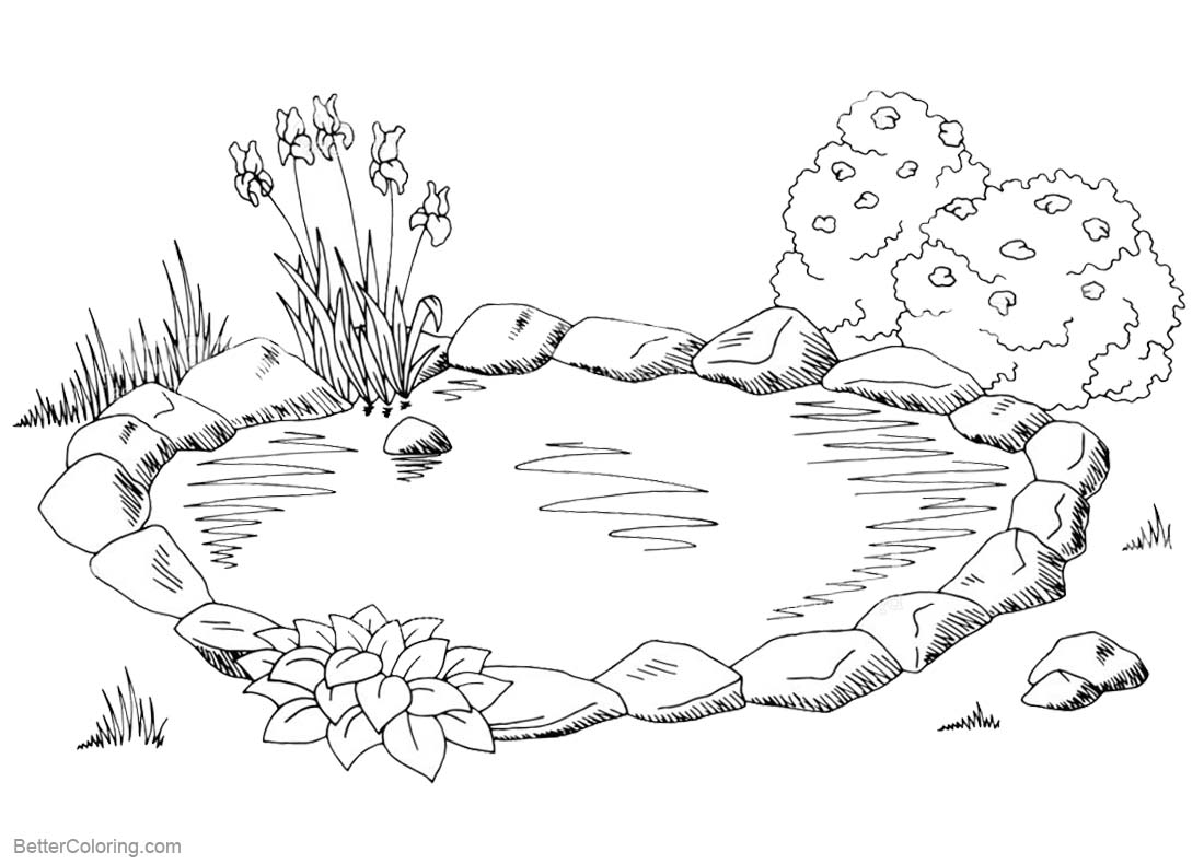 Pond Coloring Pages Sketch - Free Printable Coloring Pages