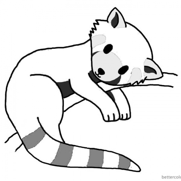 Red Panda Coloring Pages Clipart - Free Printable Coloring Pages