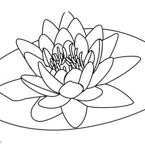 Pond Coloring Pages Four Ducks Swimming - Free Printable Coloring Pages