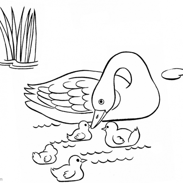 Pond Coloring Pages Plants and Sunshine - Free Printable Coloring Pages