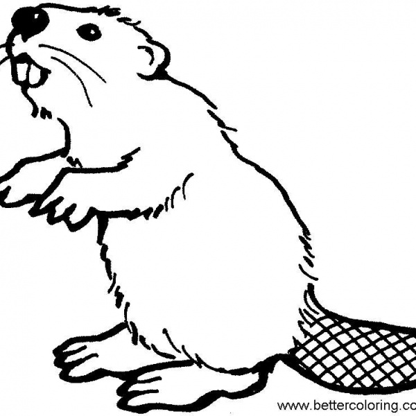 Christmas Beaver Coloring Pages - Free Printable Coloring Pages