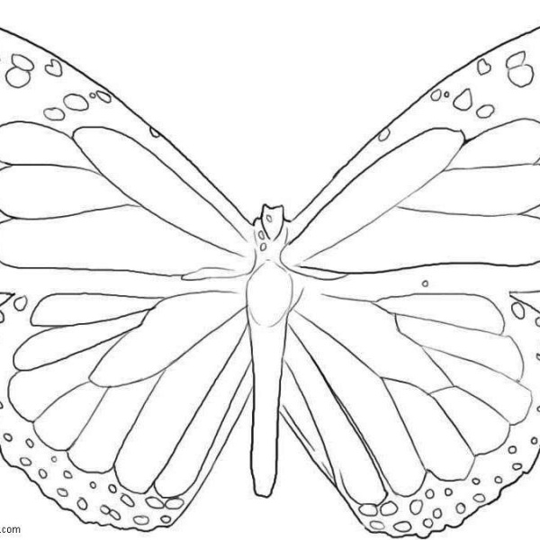 Butterflies Coloring Pages - Free Printable Coloring Pages