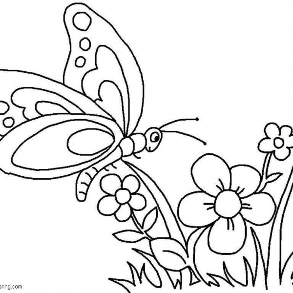 Butterflies Coloring Pages Line Drawings - Free Printable Coloring Pages