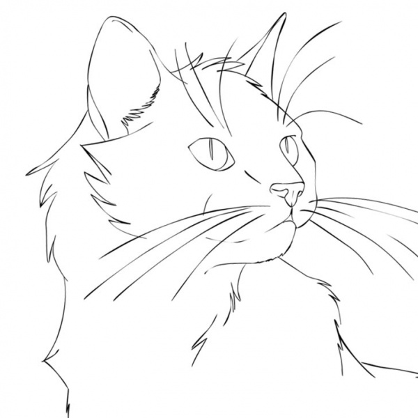 Cat and Mouse Coloring Page - Free Printable Coloring Pages