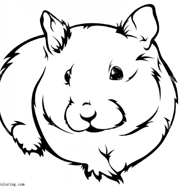 Hamster Coloring Pages Line Art by deidarapanther - Free Printable