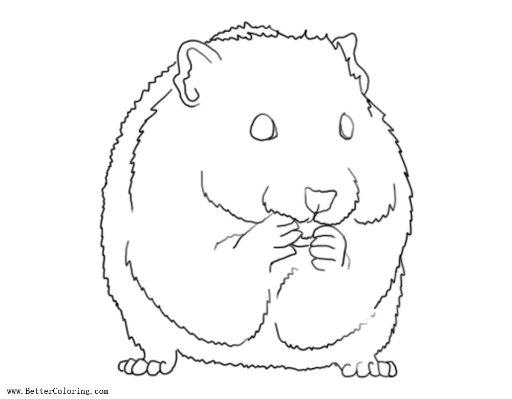 hamster-coloring-pages-by-ashleyphotographics-free-printable-coloring