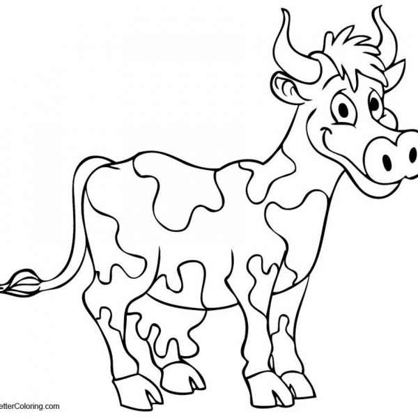 Cows Coloring Pages - Free Printable Coloring Pages