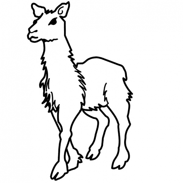 Llama Coloring Pages Smiling - Free Printable Coloring Pages