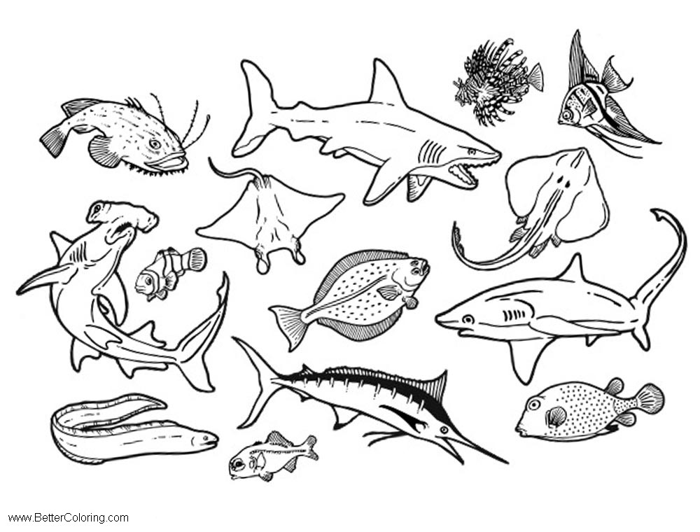 Ocean Life Under The Sea Coloring Pages Free Printable Coloring Pages