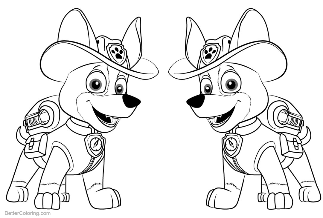 Раскраски щенячий патруль формат а4