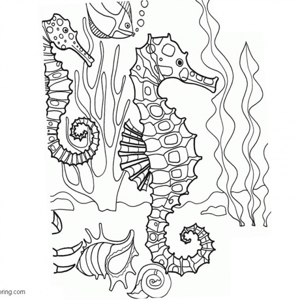 Sea Life Under The Sea Coloring Pages Sea Horse with Bubbles - Free ...