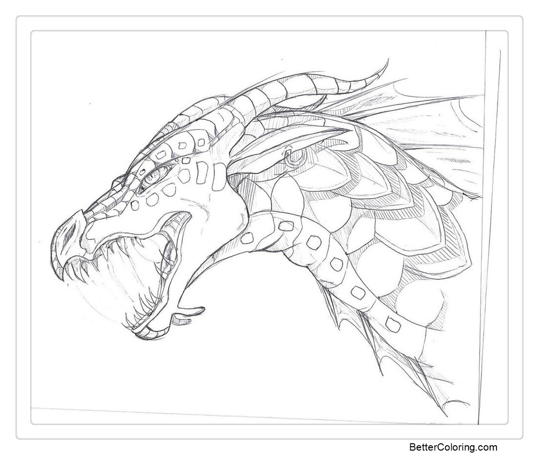 Wings of Fire Coloring Pages Seawing Sketch by TheLittleWaterDragon