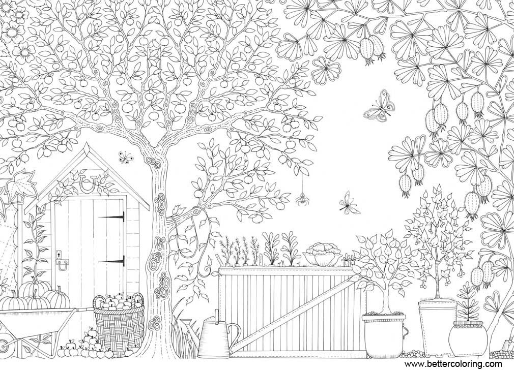 printable garden coloring pages for kindergarten hd football