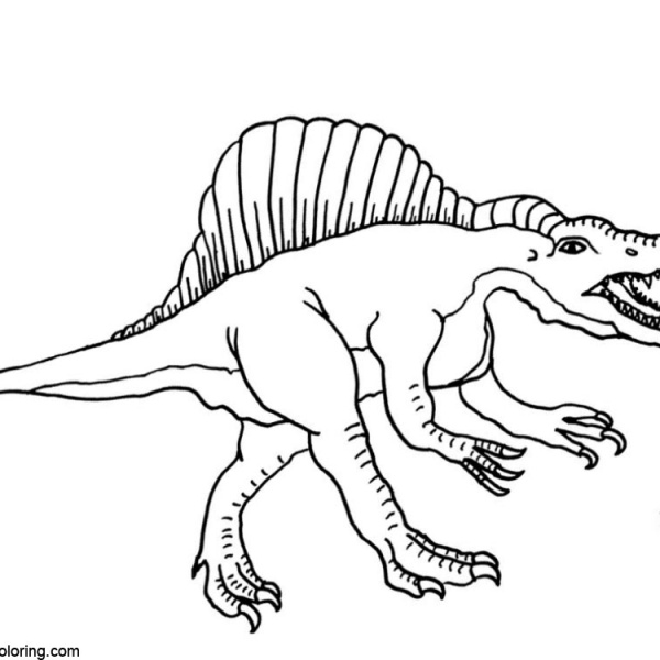 Spinosaurus Coloring Pages Realistic Drawing - Free Printable Coloring ...