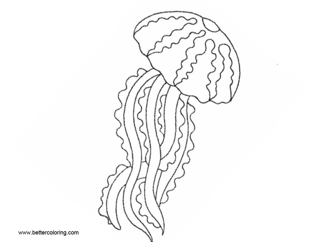 Printable Jellyfish Coloring Pages 2023 Calendar Printable