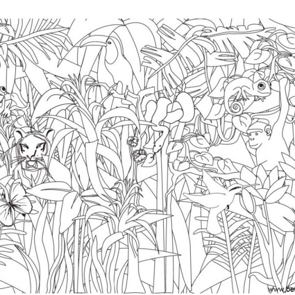 Jungle Coloring Pages Connect the Dots by Number - Free Printable