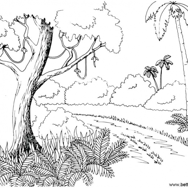 Jungle Coloring Pages Connect the Dots by Number - Free Printable ...