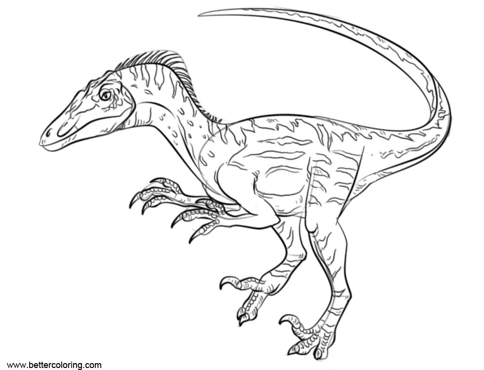 Jurassic Coloring Fallen Kingdom Velociraptor Draw Printable Adults Kerra S...