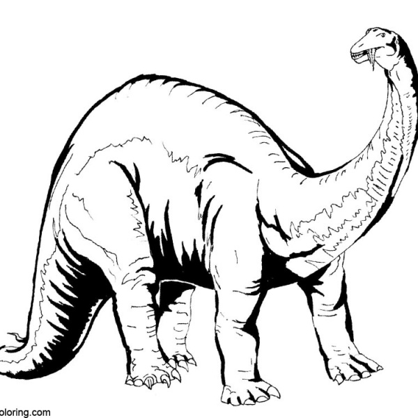 Jurassic World Fallen Kingdom Coloring Pages Apatosaurus Brontosaurus