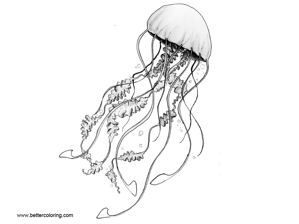 Moon Jellyfish Coloring Pages - Free Printable Coloring Pages