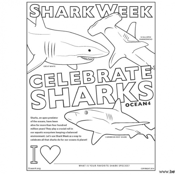 Shark Week Printables