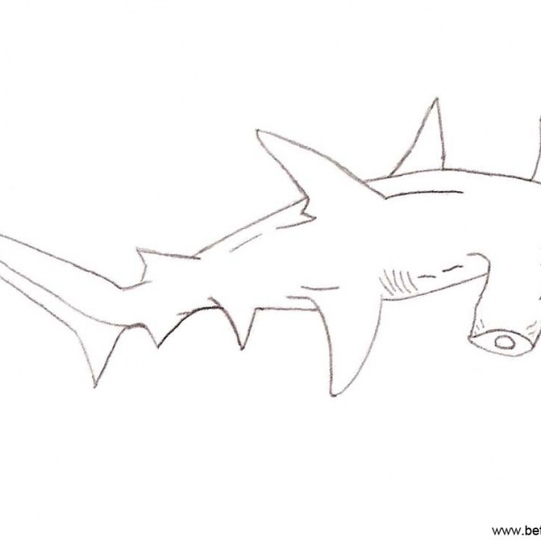 Shark Week Coloring Pages Clip Art - Free Printable Coloring Pages