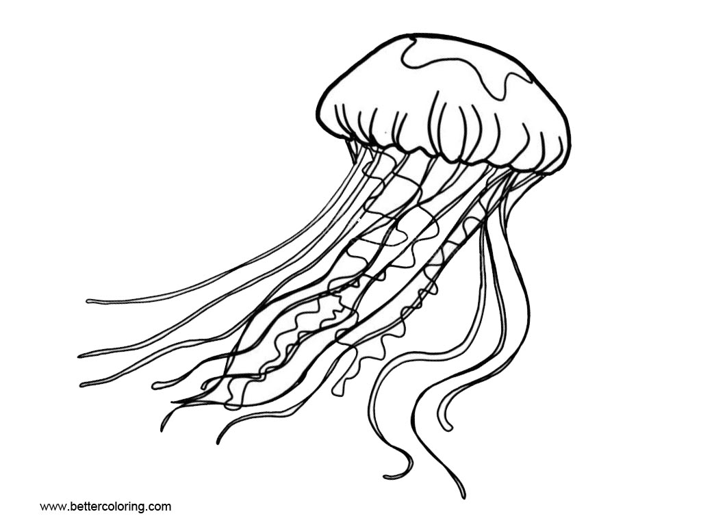 Simple Jellyfish Coloring Pages - Free Printable Coloring Pages