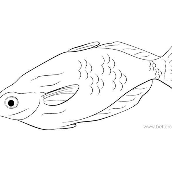 Rainbow Fish Coloring Pages Cartoon Images - Free Printable Coloring Pages