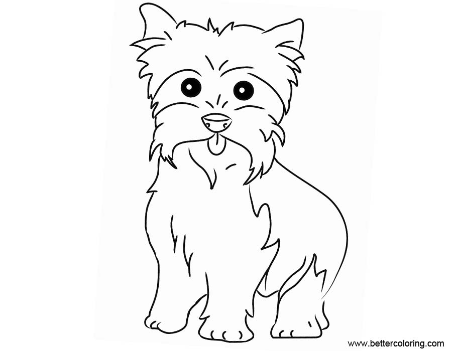 Yorkie Coloring Pages Easy Drawing - Free Printable Coloring Pages