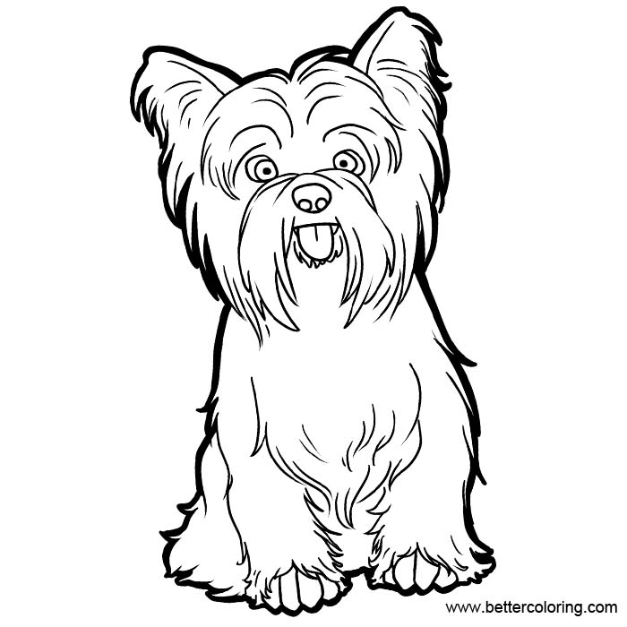 Yorkie Puppy Coloring Pages To Print Coloring Pages