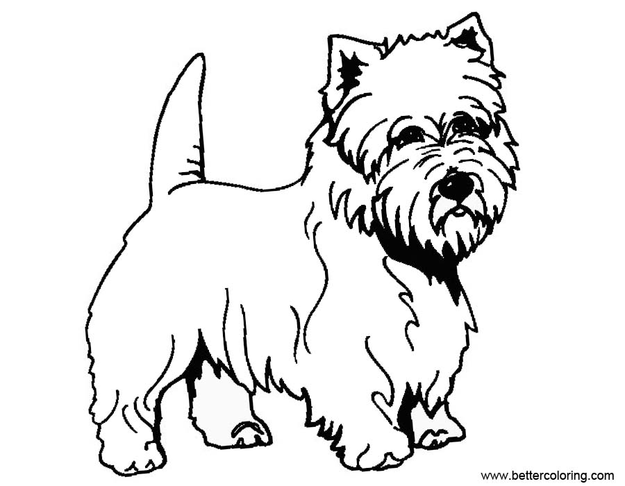 Yorkie Coloring Pages Outline - Free Printable Coloring Pages