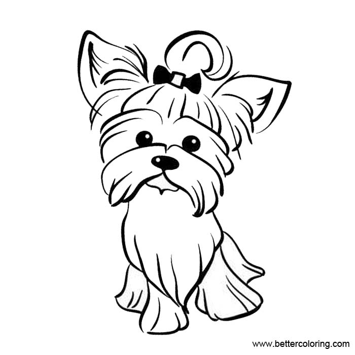 Yorkie Coloring Pages - Free Printable Coloring Pages