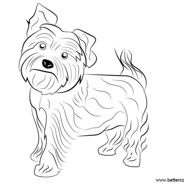 Cute Yorkie Coloring Pages - Free Printable Coloring Pages