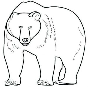 Brown Bear Brown Bear Coloring Pages Coloring Pages - Free Printable ...