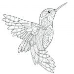 470 Top Coloring Pages For Adults Hummingbirds Download Free Images