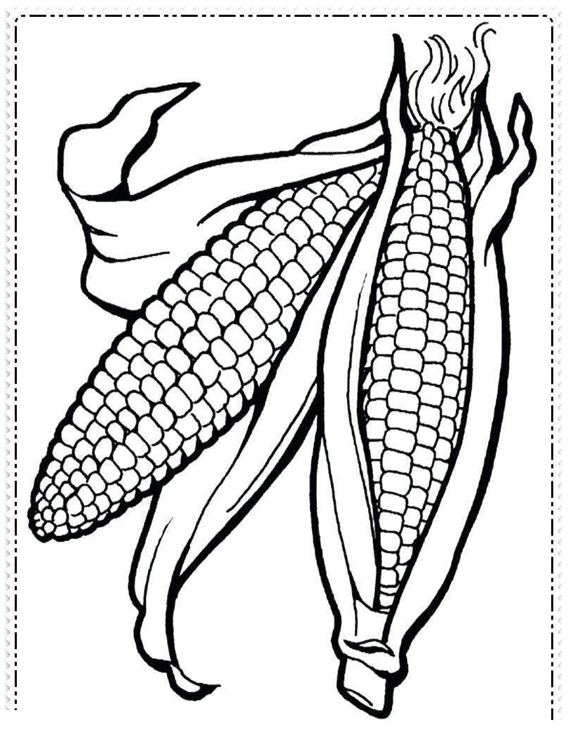 810 Coloring Pages Corn  Images