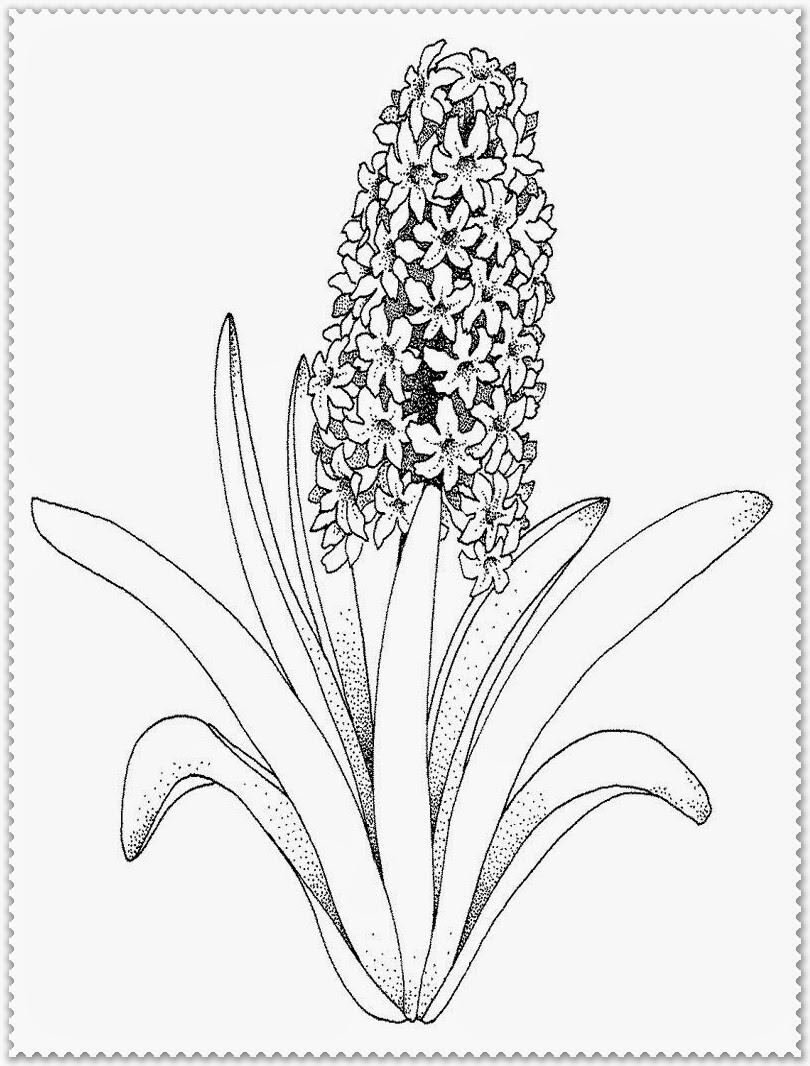 96 Realistic Flower Coloring Pages Printable , Free HD Download