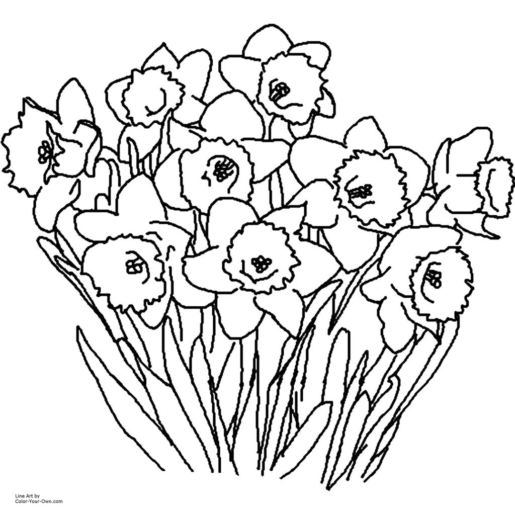 96 Realistic Flower Coloring Pages Printable , Free HD Download