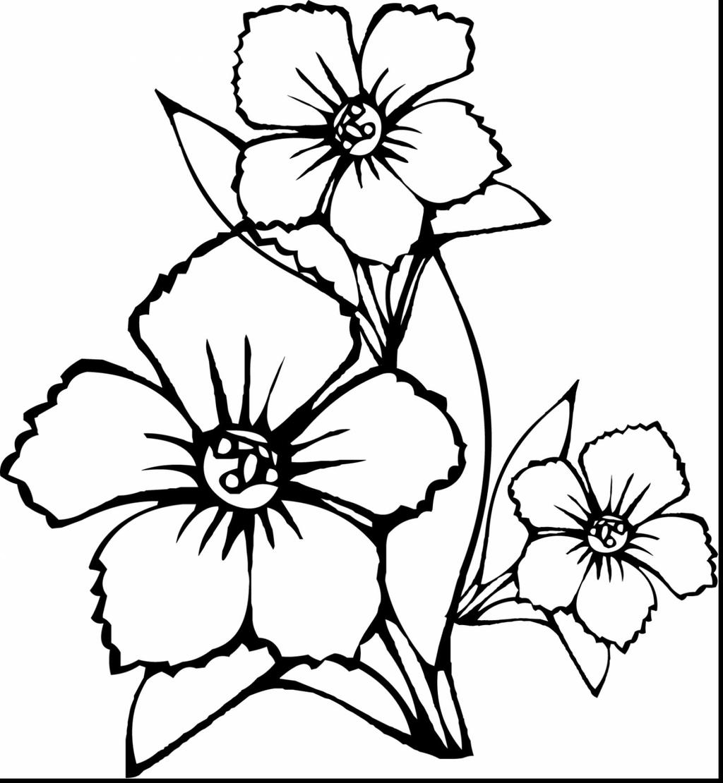 630 Top Realistic Flower Coloring Pages Pictures