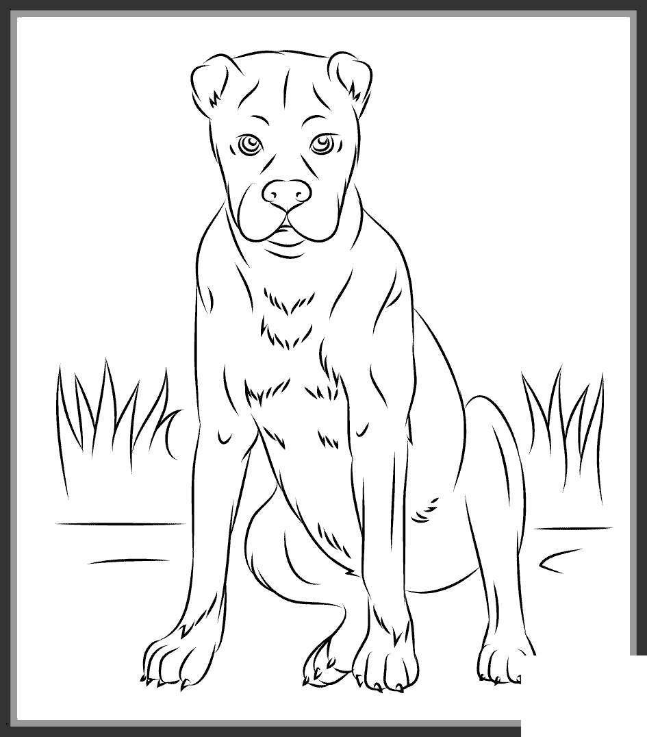 Download Coloring Pages: Boxer Dog Coloring Pictures