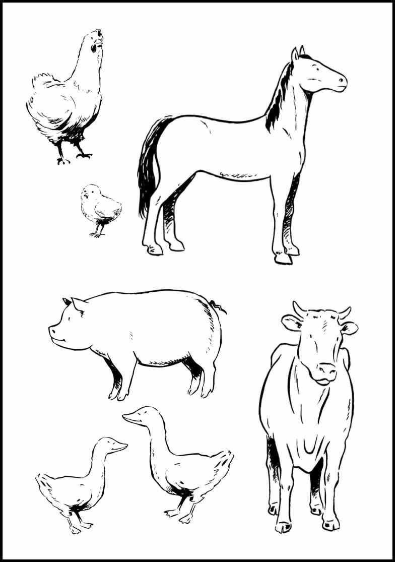 76 Coloring Pages Domestic Animals , Free HD Download