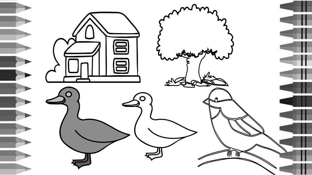 550 Top Free Coloring Pages Domestic Animals , Free HD Download