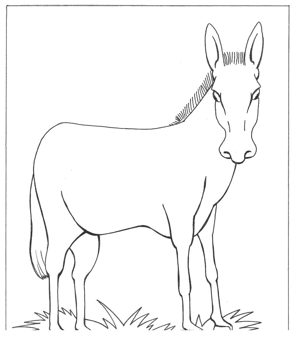 550 Top Free Coloring Pages Domestic Animals , Free HD Download